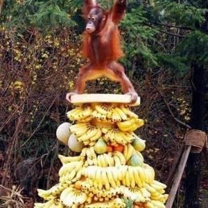 Meet your Posher, Callum